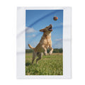 Playful Labrador Photo Fleece Blanket — Colorful Ball Jumping Dog Throw