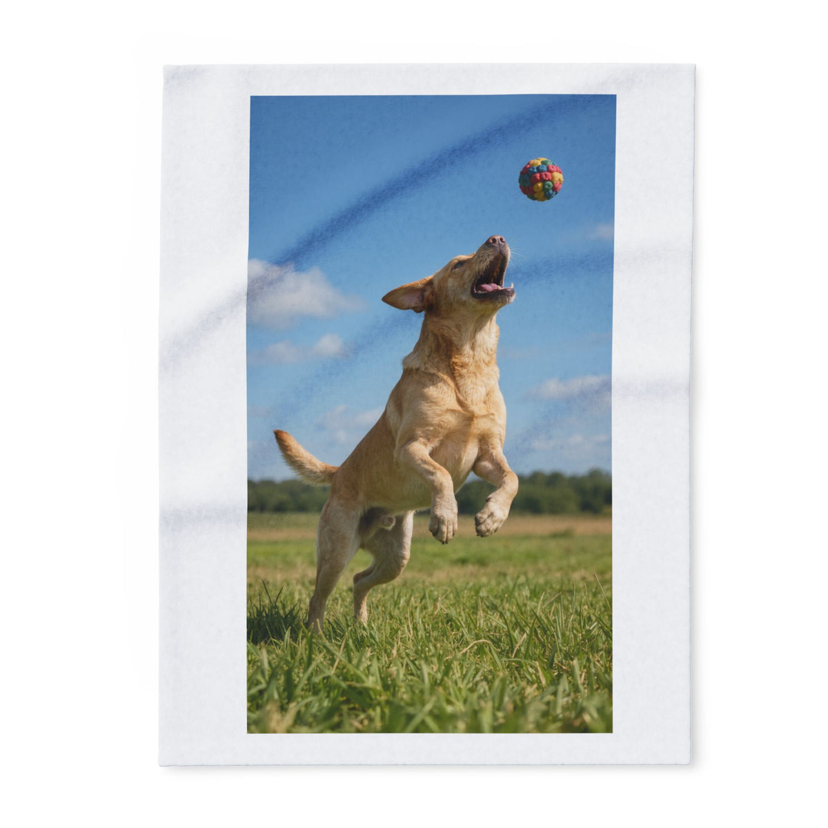 Playful Labrador Photo Fleece Blanket — Colorful Ball Jumping Dog Throw