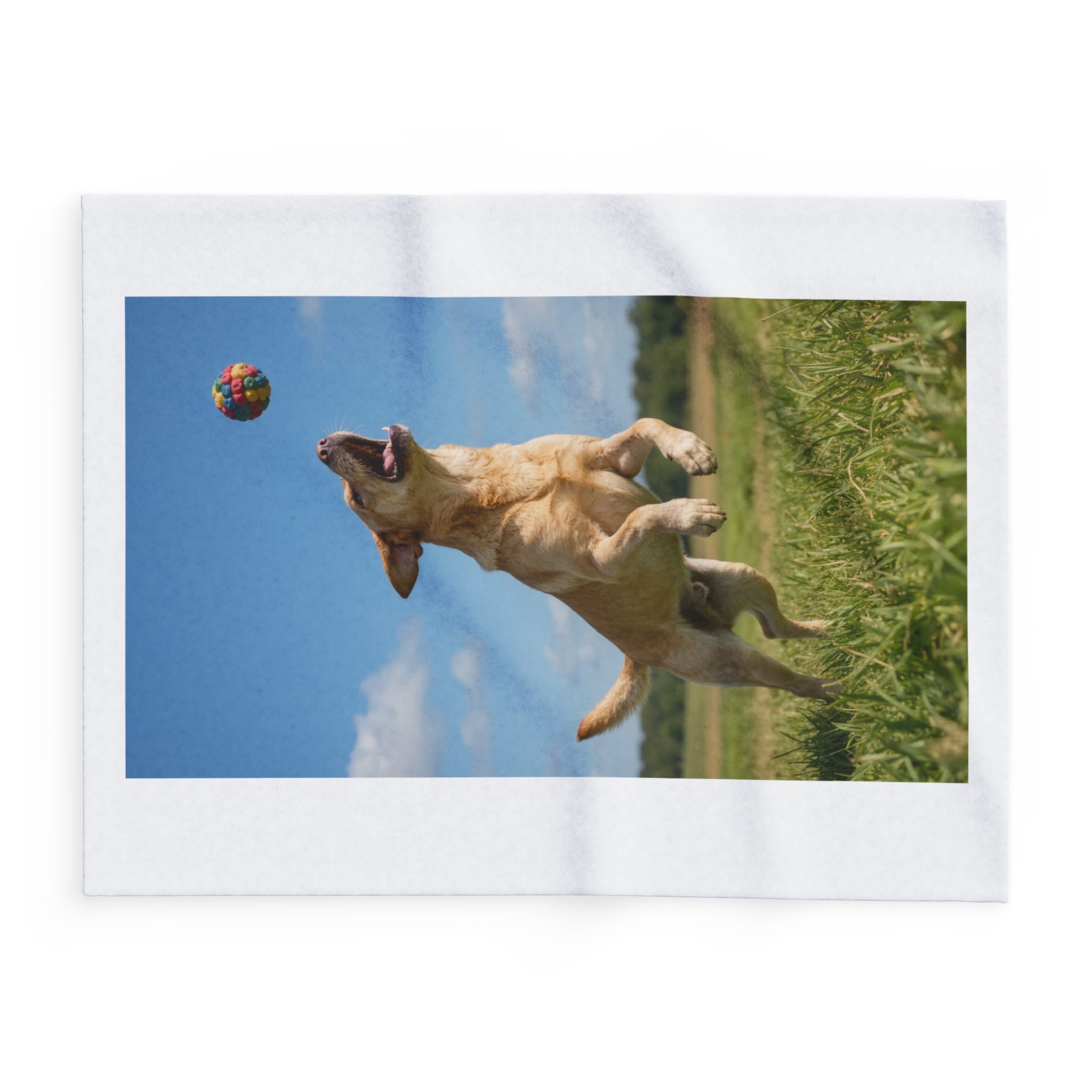 Playful Labrador Photo Fleece Blanket — Colorful Ball Jumping Dog Throw