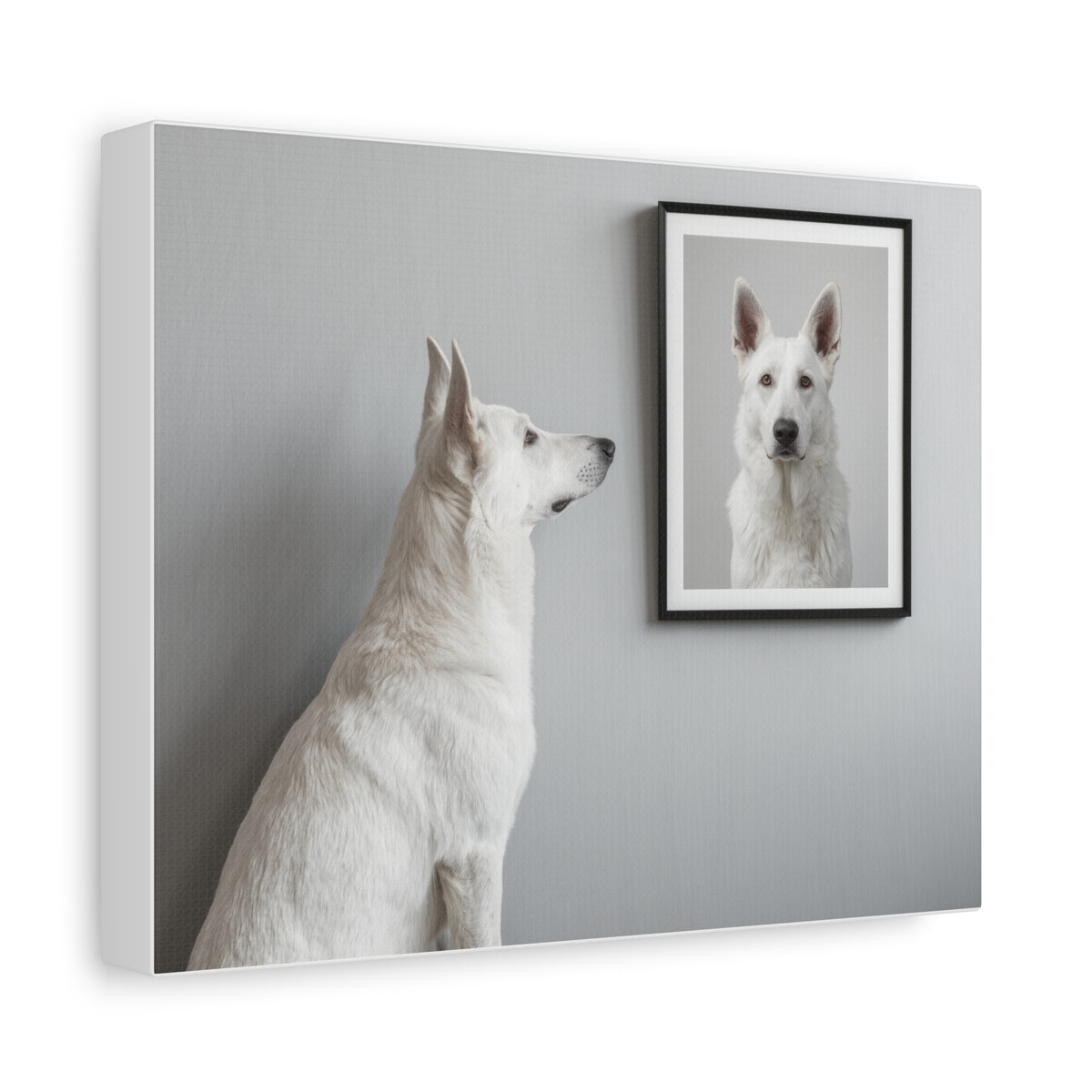 White German Shepherd Canvas Print — Minimal Pet Portrait Matte Stretched Wall Art